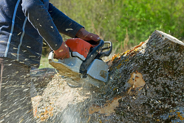 Gentry, AR Tree Services Company